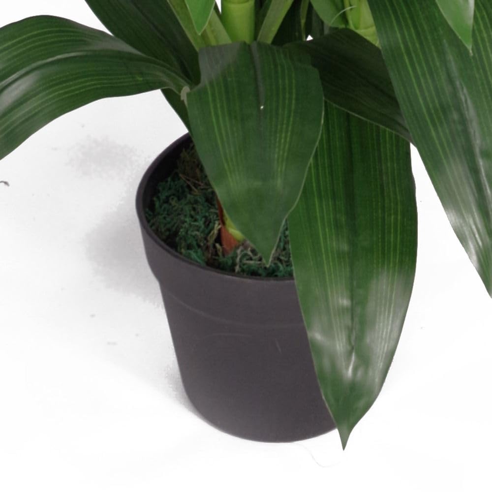 Leaf Feuille d'Orchidée Artificielle Cymbidium - Pot en Plastique Noir - Fleurs Blanches - 100 cm