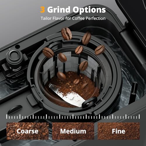 Image of AIRMSEN Grind & Brew Coffee Maker with Built-in Grinder, Programmable Single Serve Coffee Maker - 5 Cup-800ML, 3 Grind Settings, Auto Keep Warm & Glass Carafe for Small Home and Office