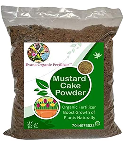 Evan Organic Fertilizer Mustard Cake Powder for Plants Sarso Khali Pure and Organic 500 GM