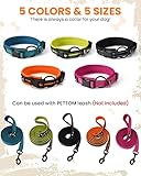 PETTOM Hundehalsband Verstellbare Nylon Hunde Halsband Atmungsaktives Reflektierend Halsband (Orange S)