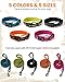 PETTOM Hundehalsband Verstellbare Nylon Hunde Halsband Atmungsaktives Reflektierend Halsband (Orange S)