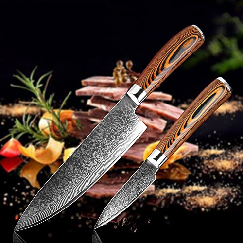 Set Cuchillos Cocina 2 Piezas Acero Aleado