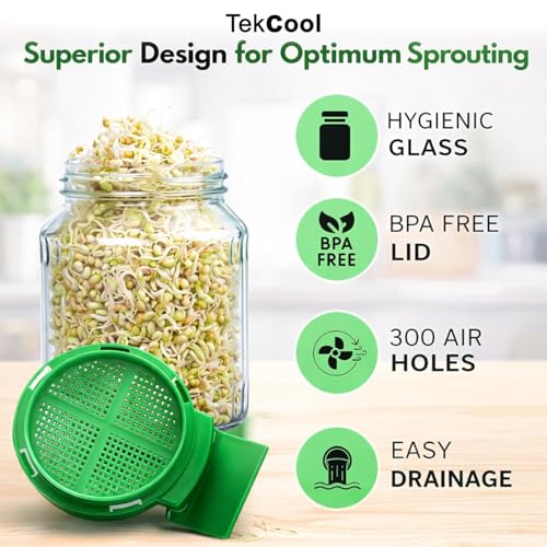 Image of TEKCOOL Sprouts Maker Glass Jar - 720ml Durable & Reusable Sprouter for All Seeds and Beans, BPA-Free with 300-Hole Mesh Lid for Airflow, Odor-Free, Easy Drainage, and Hygienic Glass Design - Green'