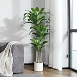 Künstlicher Drachenbaum 150cm Artificial Kunstpflanzen groß, Plastik Künstliche Pflanzen,Tropische Dracaena Fragans Pflanze mit Töpfen für Wohnzimmer Büro Garten Dekoration(1Pack) – Bild 3