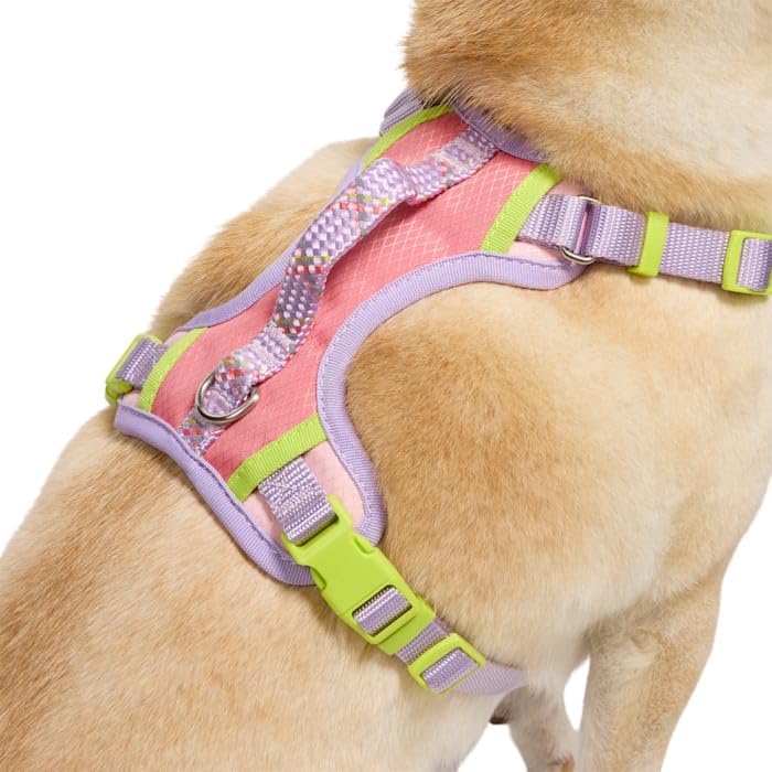 YOULY by Petco Adventure Reflective Dog Harness Pink X-Large