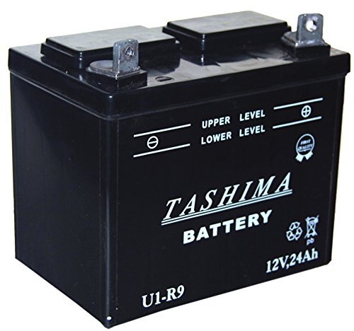 Greenstar 15377 Batterie u1.r9 (f506), Noir