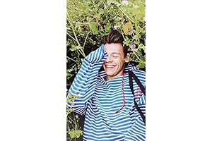 Unframed/Frameable 27 X 40 Inch Gorgeous Collection Harry Styles Poster HD