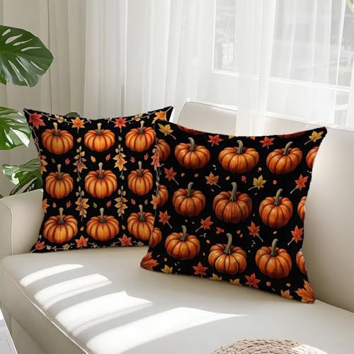 Taie oreiller double face imperméable 70x70 cm avec fermeture éclair