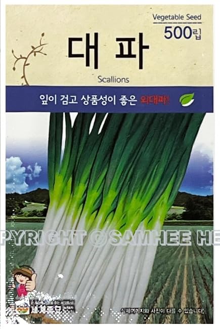 Scallion Plant Seeds Korean, 1 Pack, 4Grams (대파)