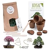 DEIN BONSAI-BAUM - Züchte deinen eigenen Bonsai! Neben den 4x Kokostöpfen beinhaltet das Set zwei Sorten Qualitäts-Samen mit hoher Keimrate, 4x Kokos-Erdscheiben, 4x Stecketiketten und eine Anleitung.