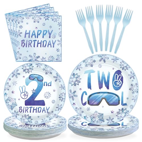 96Pcs Winter 2nd Birthday Decorations Two Cool Plates and Napkins Snowflake Ski Theme Birthday Decoration Favors for Kids Boy Winter Wonderland Frozen Theme Two Years Old Bday Party Supplies Serves 24