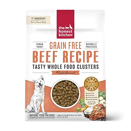 The Honest Kitchen Whole Food Clusters Grain Free Beef Dry Dog Food, 1 lb