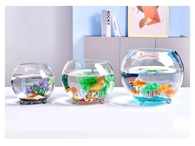 Amazon | 金魚鉢 水槽 飼育水槽 丸型水槽 ック テラリウム 観葉植物