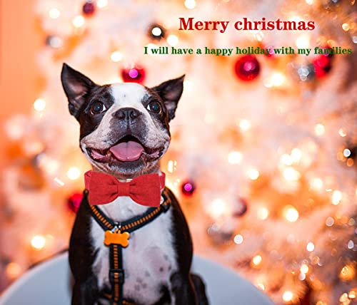Image of DOGWONG Cotton Dog Collar with Bow Red Pet Collar Durable Adjustable for Small Medium Large Dogs