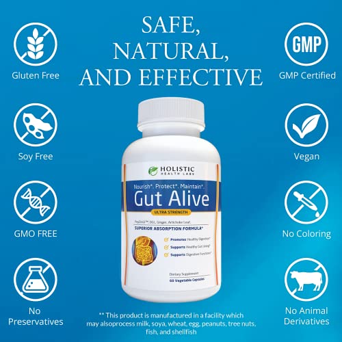 Image of Holistic Health Labs Gut Alive - All Natural Support to Fight IBS, Heartburn, Acid Indigestion, Acid Reflux, Bloating & Gas. Unique Formulation (60 Count (Pack of 2))