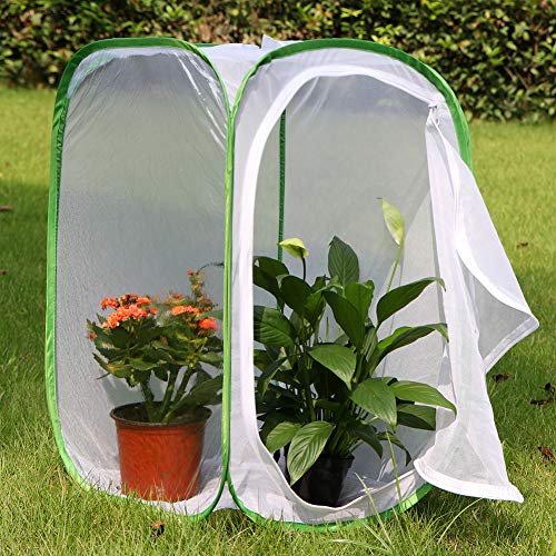 RESTCLOUD 23.6-Inch Insect and Butterfly Habitat Cage Terrarium