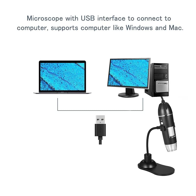 Microscope numérique 1000X avec loupe de bureau et lames pour observation