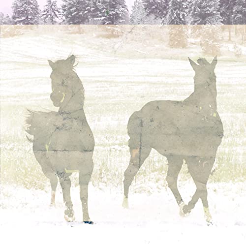 List of Top Ten Best Venus Signs Top Picks 2023 Reviews