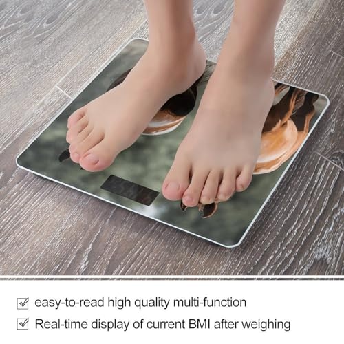 Báscula Digital Animales Horses para Baño con Alta Precisión miniatura 5
