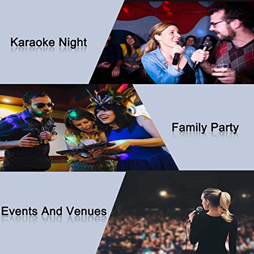 Wireless Microphone System with Echo, AMK UHF Dual Wireless Mics