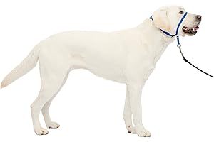 Our Personalized PetSafe Gentle Dog Lead: The Perfect Fit for Every Pup's Happy Trails