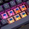 Keychron Q4 Wired Custom Mechanical Keyboard, 60% Layout QMK/VIA Programmable Macro with Hot-swappable Gateron G Pro Blue Switch Double Gasket Compatible with Mac Windows Linux (Black)
