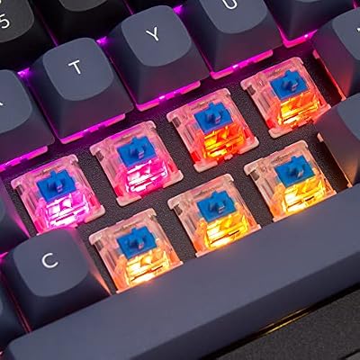 Keychron Q4 Wired Custom Mechanical Keyboard, 60% Layout QMK/VIA Programmable Macro with Hot-swappable Gateron G Pro Blue Switch Double Gasket Compatible with Mac Windows Linux (Black)