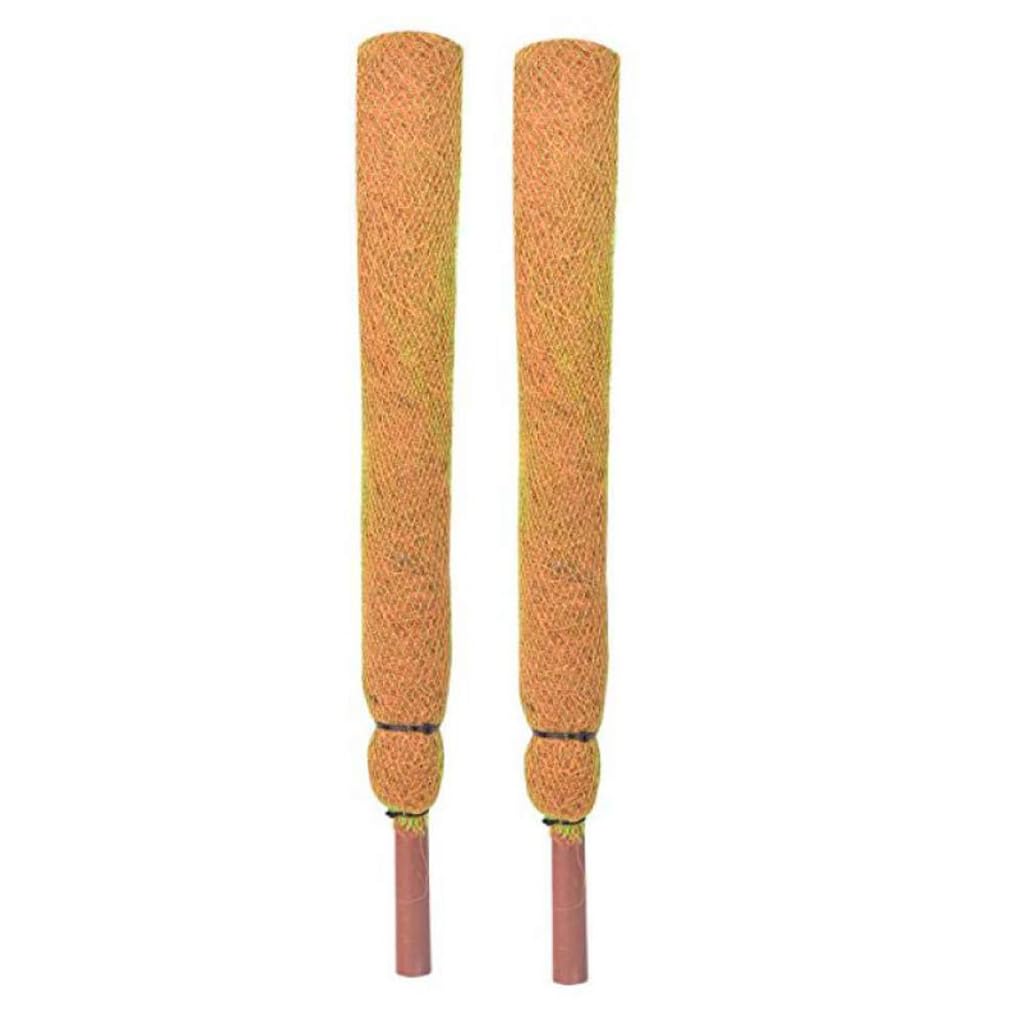 TrustBasket 3 Feet Coir Moss Stick/Coco Pole for Climbing Indoor & Outdoor Plants (Set of 2)| Green Grass Pole for HOUSING Plants, Creeper Support|Moss Stick-image-48