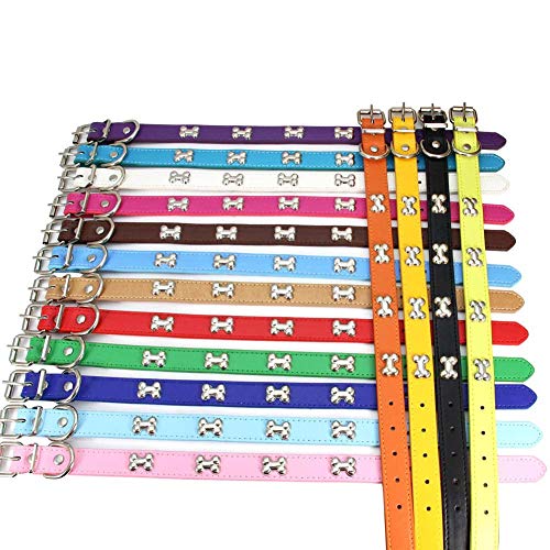 Collier de chien cuir véritable XS bleu résistant pour chien actif