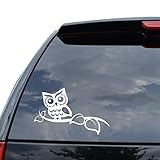 DiamondCutStickerz Cute Owl Tree Branch Decal Sticker Car Truck Motorcycle Window Bumper Laptop Wall Decor - Size (07 Inch / 18 Cm Wide) - Color Black (Matte Finish)