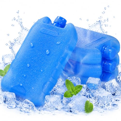 Réfrigérateur isotherme réutilisable pour bière et soda idéal pour plage et pique-nique