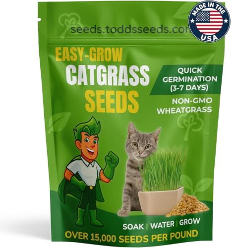 Todd's Seeds Cat Grass Wheatgrass Seeds, 1 lb...