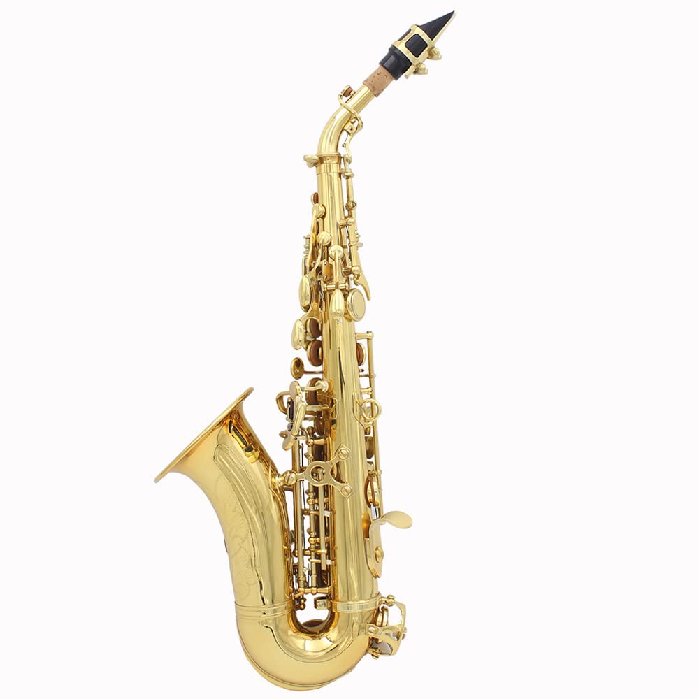 Amazon.com: Saxophone, 2.9Lb Soprano Saxophone With Hardshell Case