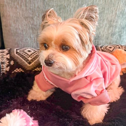 Image of BEAUTYZOO Dog Hoodie Sweaters for Small Medium Dogs- Warm Fall Winter Fleece Jacket for Cold Weather, Soft Velour Hooded Coat with Leash Hole & Pocket, Puppy Sweatshirt Clothes Bulldog Schnauzer, Pink