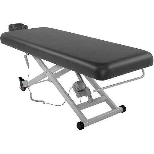 SKINACT Stella Electric Medical Spa Treatment Table (Facial Chair/Bed) ADA Compliant (Gray)