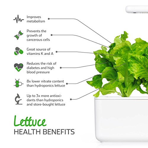 Click and Grow Green Lettuce 3-Pack Plant Pods for Smart Garden, Grow Fresh Greens at Home with Zero Effort - Thumbnail 5