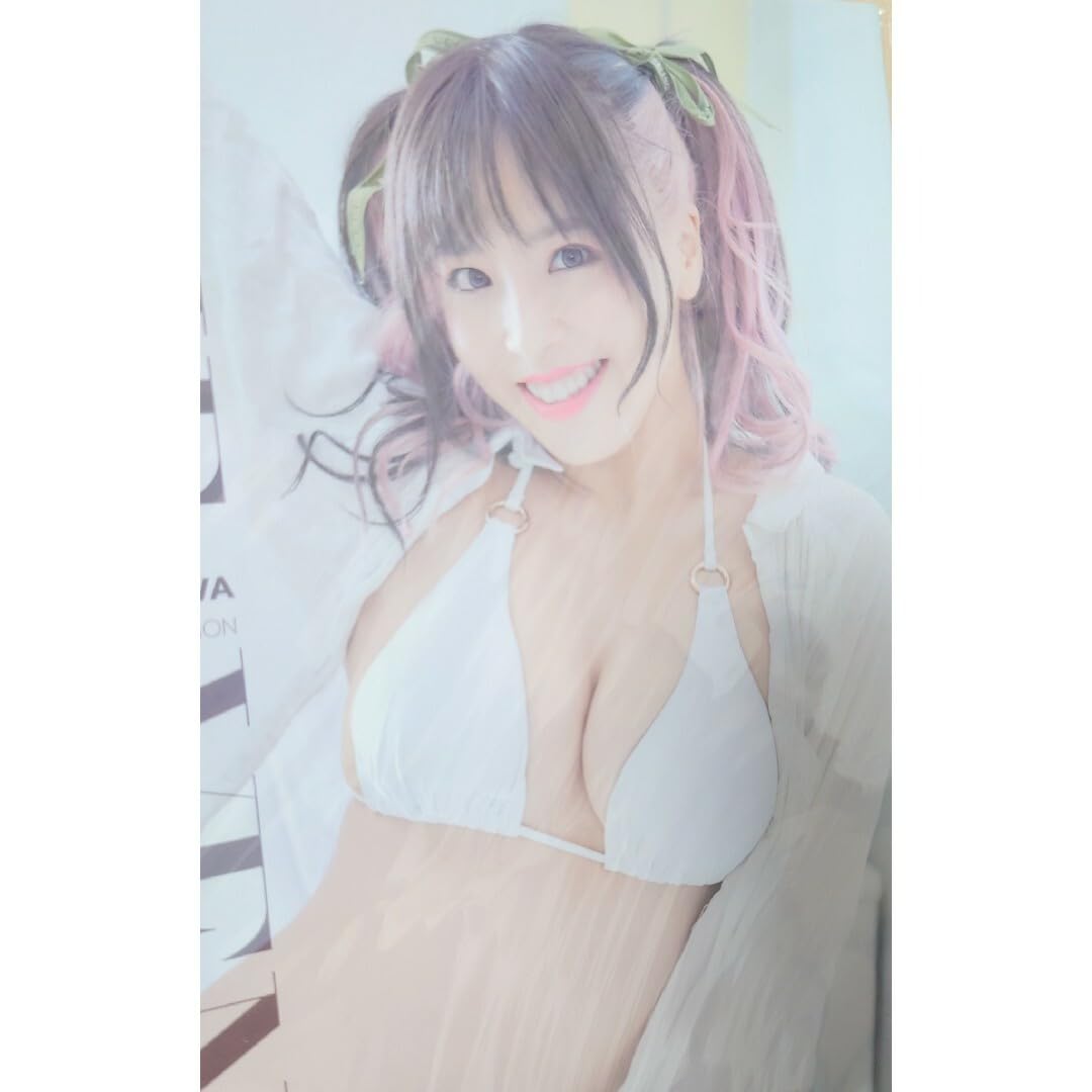 ☆スターダム 【白川未奈 THE VENUS】 最新版 写真集