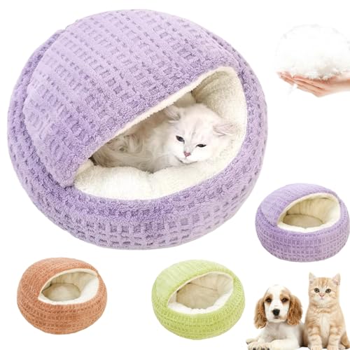 Lxbh nEX ^ ~p ybgnEX ۉ h tt PP   p ybgNbV ~ h 킢 qL L ^p LQ ΍ bNX K ӂӂ (p[v,L)