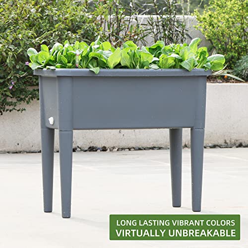 Dexceder 13.2 Gallon Self Watering Raised Garden Bed With Ventilation Transparent Lid Greenhouse, Deepen Vegetable Flower Box Planter Pot With Removeble Legs & Water Level Indicator (Deep Gray) #TOP5