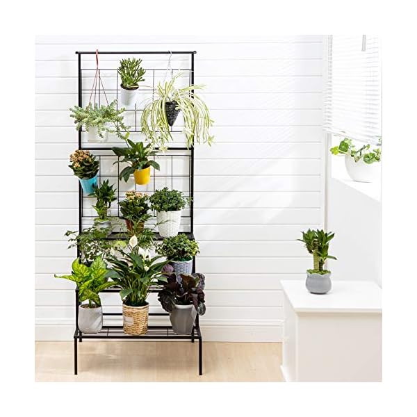 Metal 3-Tier Hanging Plant Stand Planter Shelves Flower Pot Organizer Rack Display Shelving Plants Shelf Unit Holder - Image 6