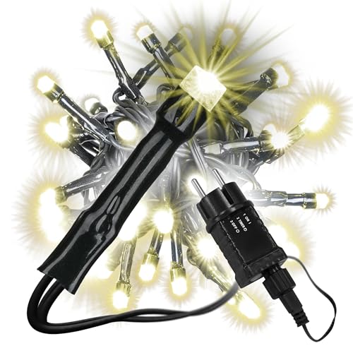 Nipach GmbH diLED Starter-Set 100 LED Lichterkette warm-weiß inkl. Netzteil Trafo Timer Anschlusskabel für erweiterbares Profi-Beleuchtungs-System Außen