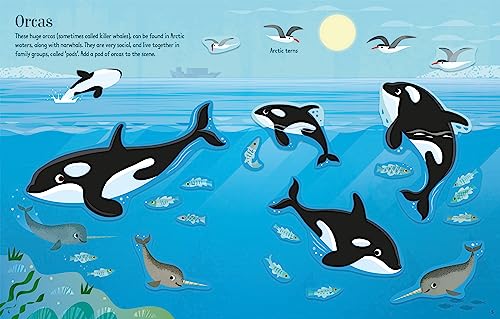 First Sticker Book Narwhals (First Sticker Books) - Image 4