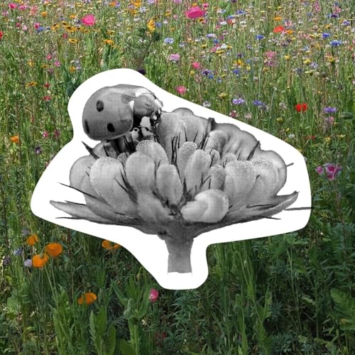 It's Time to Kill Your Lawn