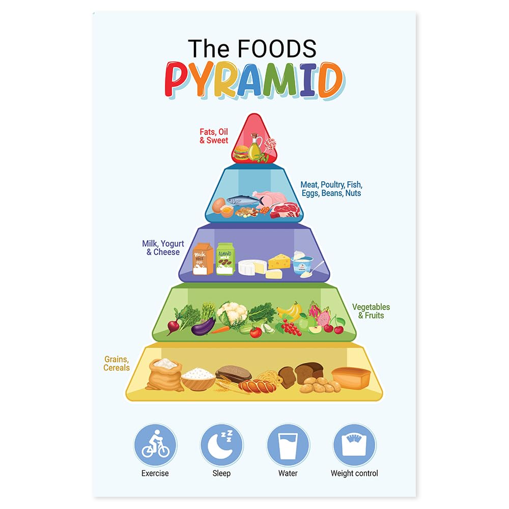 Food Pyramid Poster for Kids Unframed 16x24, Healthy Food Wall Art, Food Pyramid Science Classroom Poster Decor, Classroom Wall Decor Educational