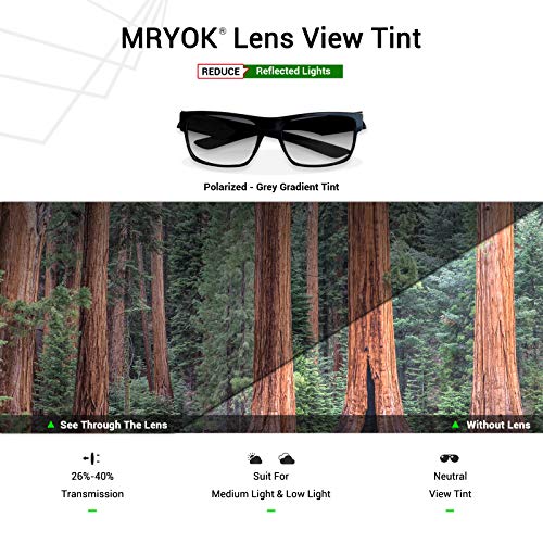 Image of Mryok Replacement Lenses for Oakley Big Taco OO9173 - Options