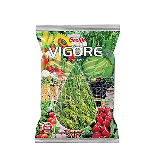 Geolife Powder Vigore - Superior Organic Yield Enhancer (100)