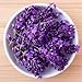 Espree Perfect Calm Lavender Cologne, 4 oz
