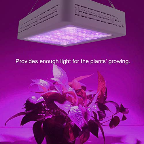 Hydroponic Growing The Best Amazon Price In Savemoney Es