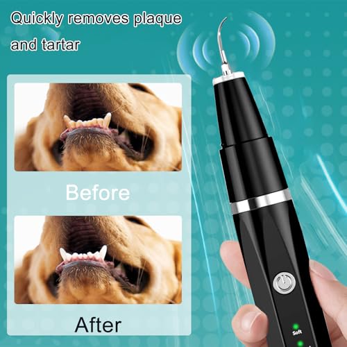 Image of Dog Plaque Tartar Remover Pet Ultrasonic Cleaner Cat Tooth Cleaning for Cat Dog Dental Care