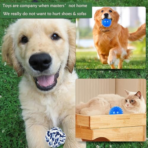 Koyukuk Hundespielzeugbälle für kleine Hunde, 12er-Pack interaktives Hundespielzeug für kleine Rassen von 0–7 kg, inklusive Gummi-, Quietsch- und Seilbällen